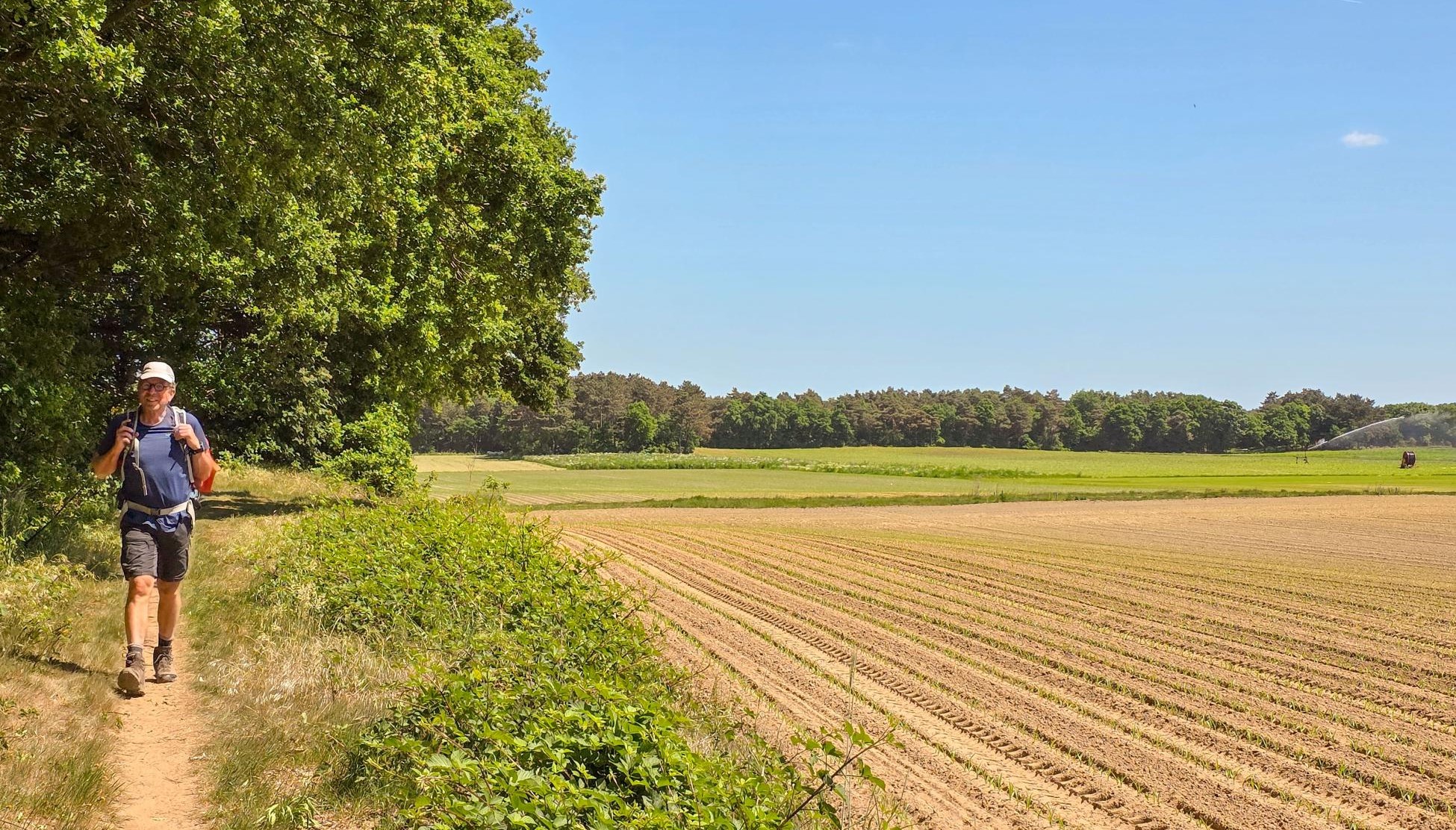 Heerlijke zomerse wandelingen
