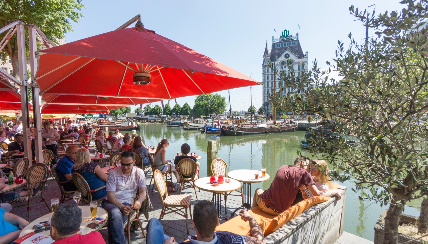 Culturele Terrasstappers