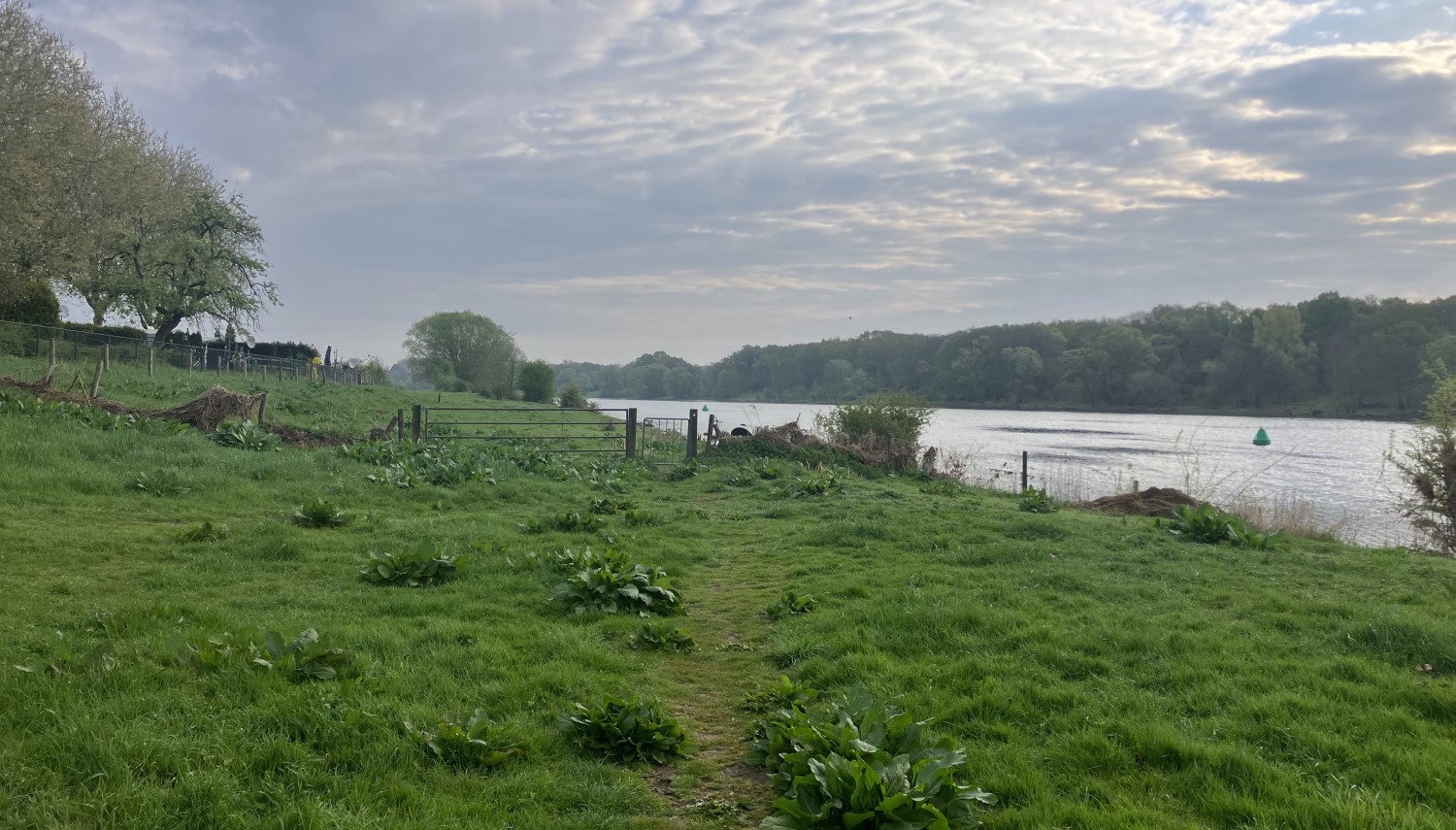 Nieuw: Maaswachtpad