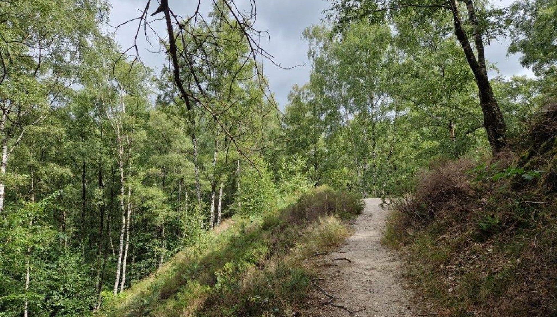 Wandeling van de maand