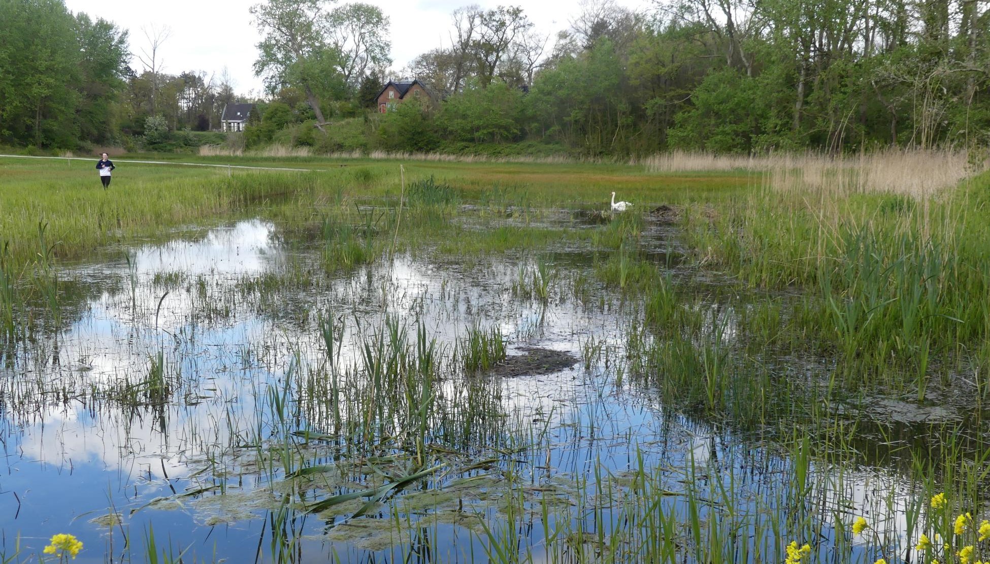 Rust rond de Randstad
