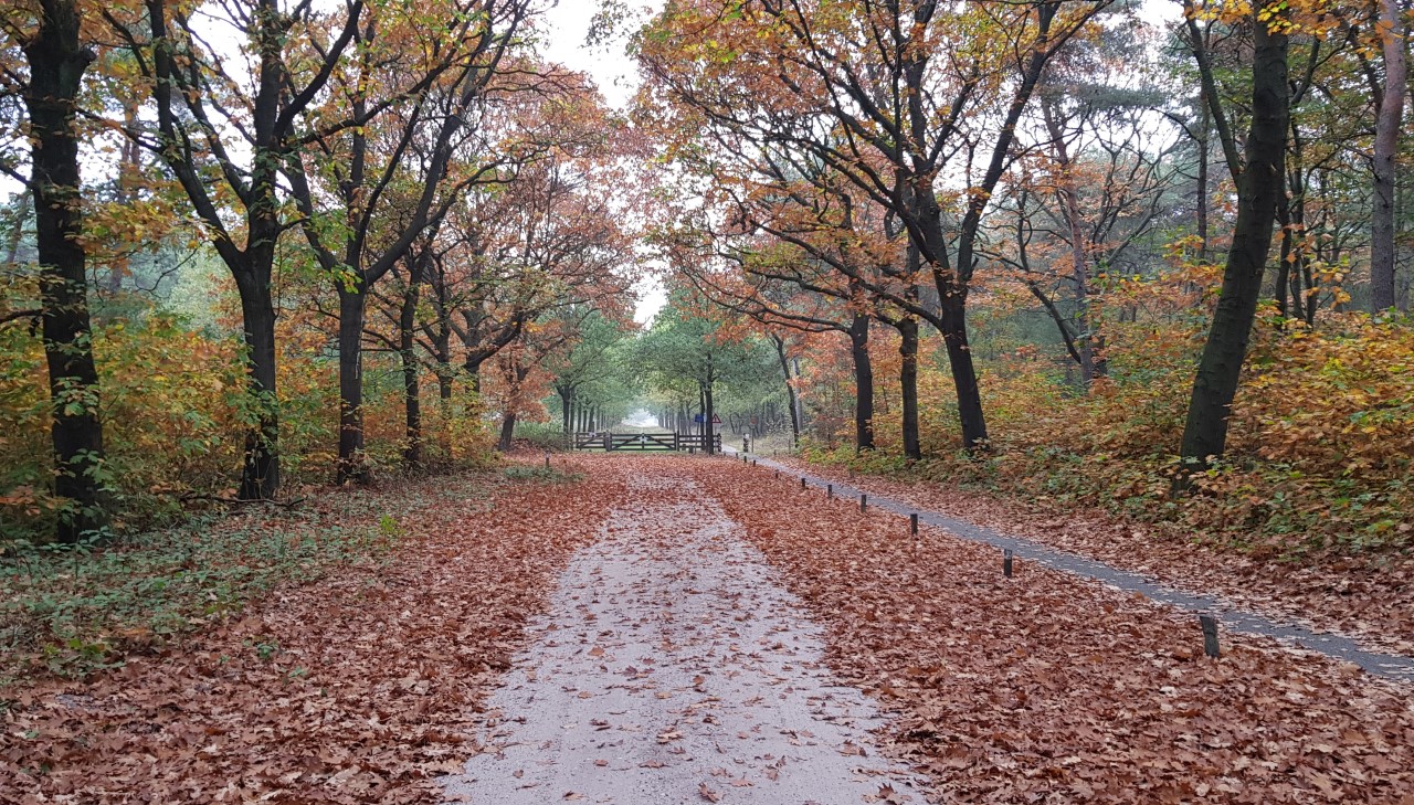 Wandeling van de maand