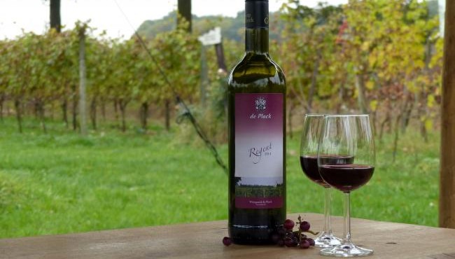 Bier- en wijnproeverij wandelroutes