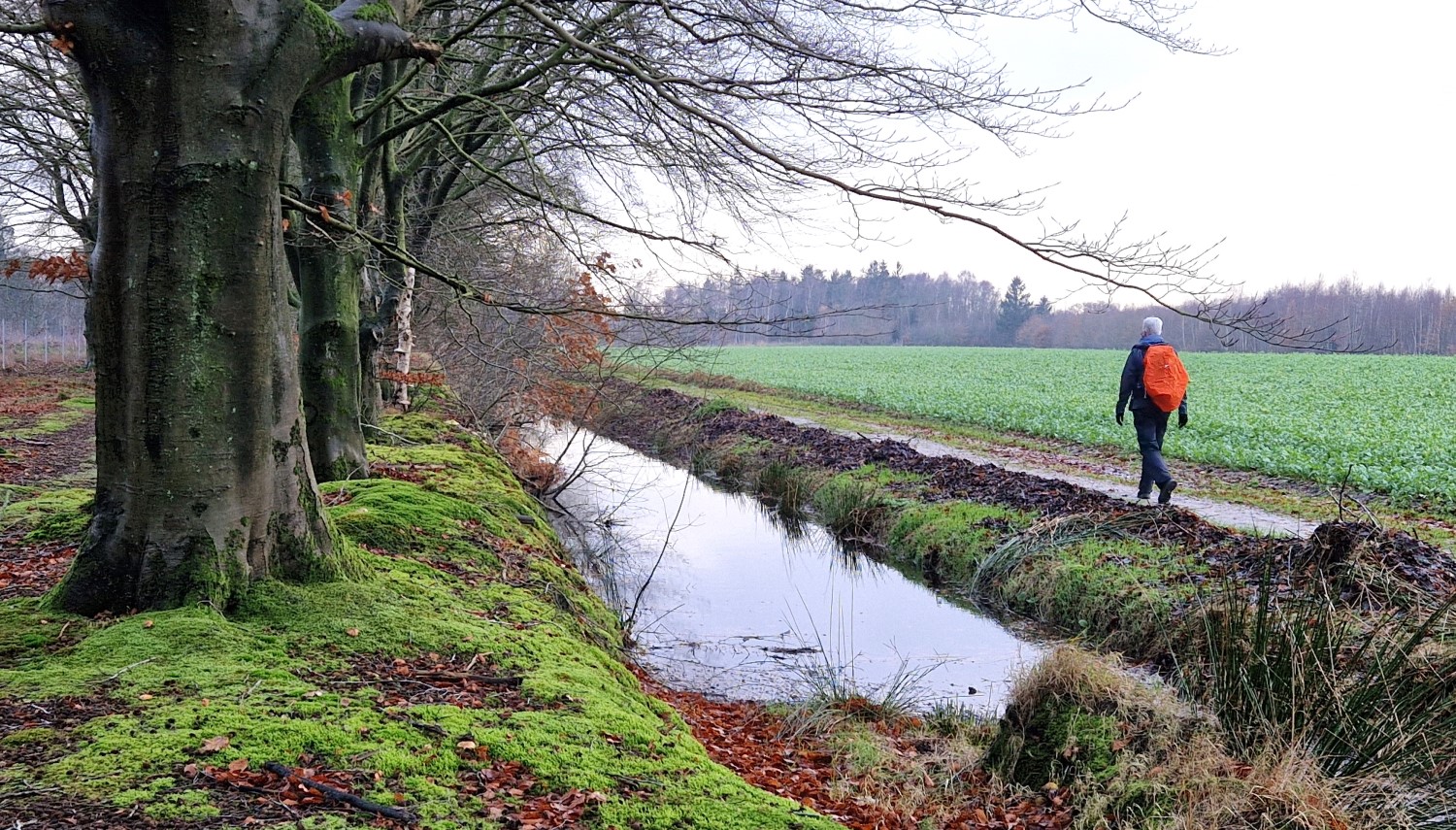 Wandeling van de maand