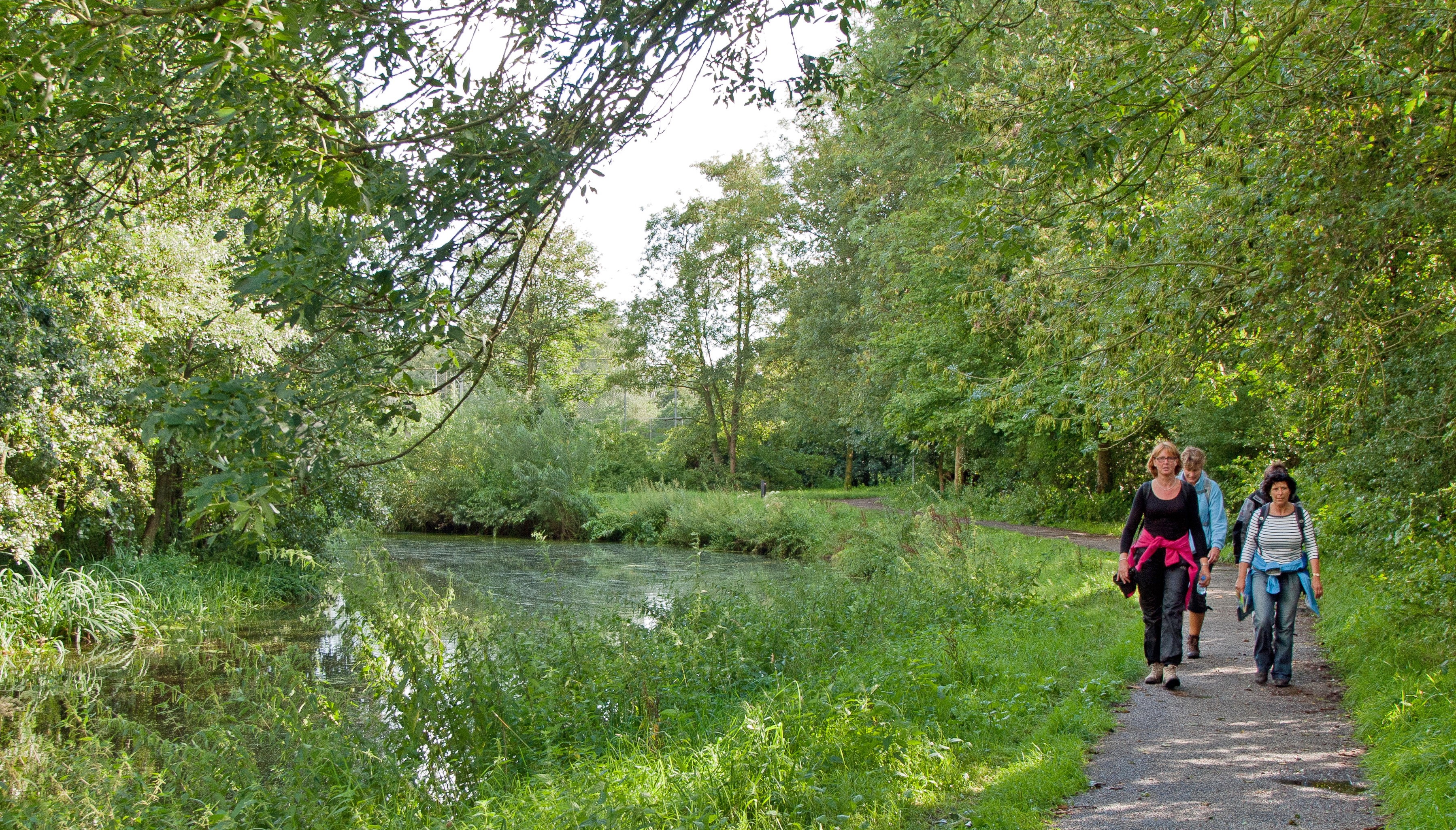 Groene Wissels, top 10