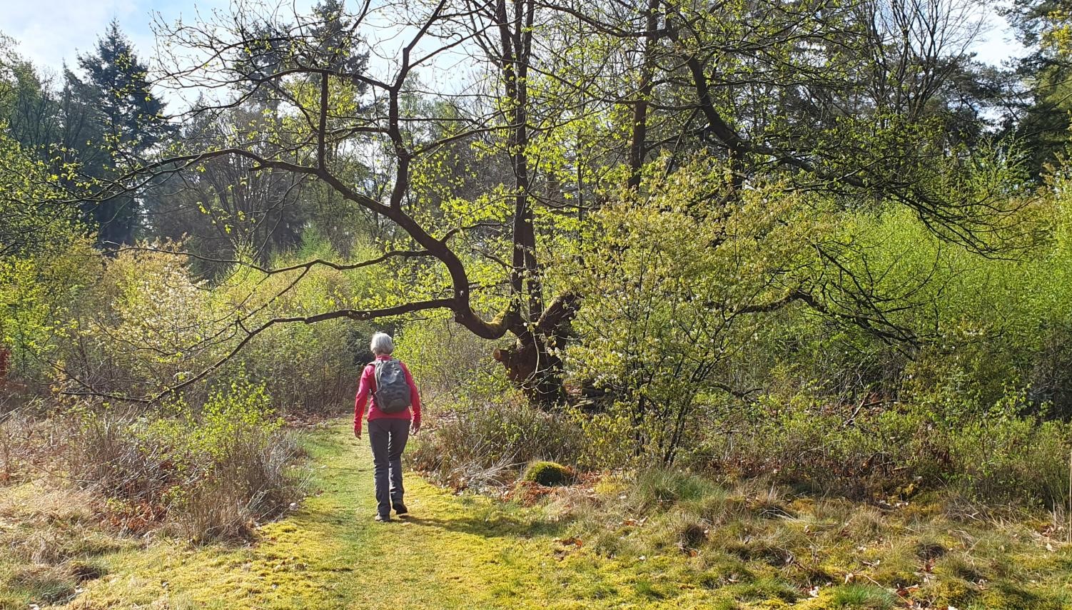 Kort en Prachtig , Top 10
