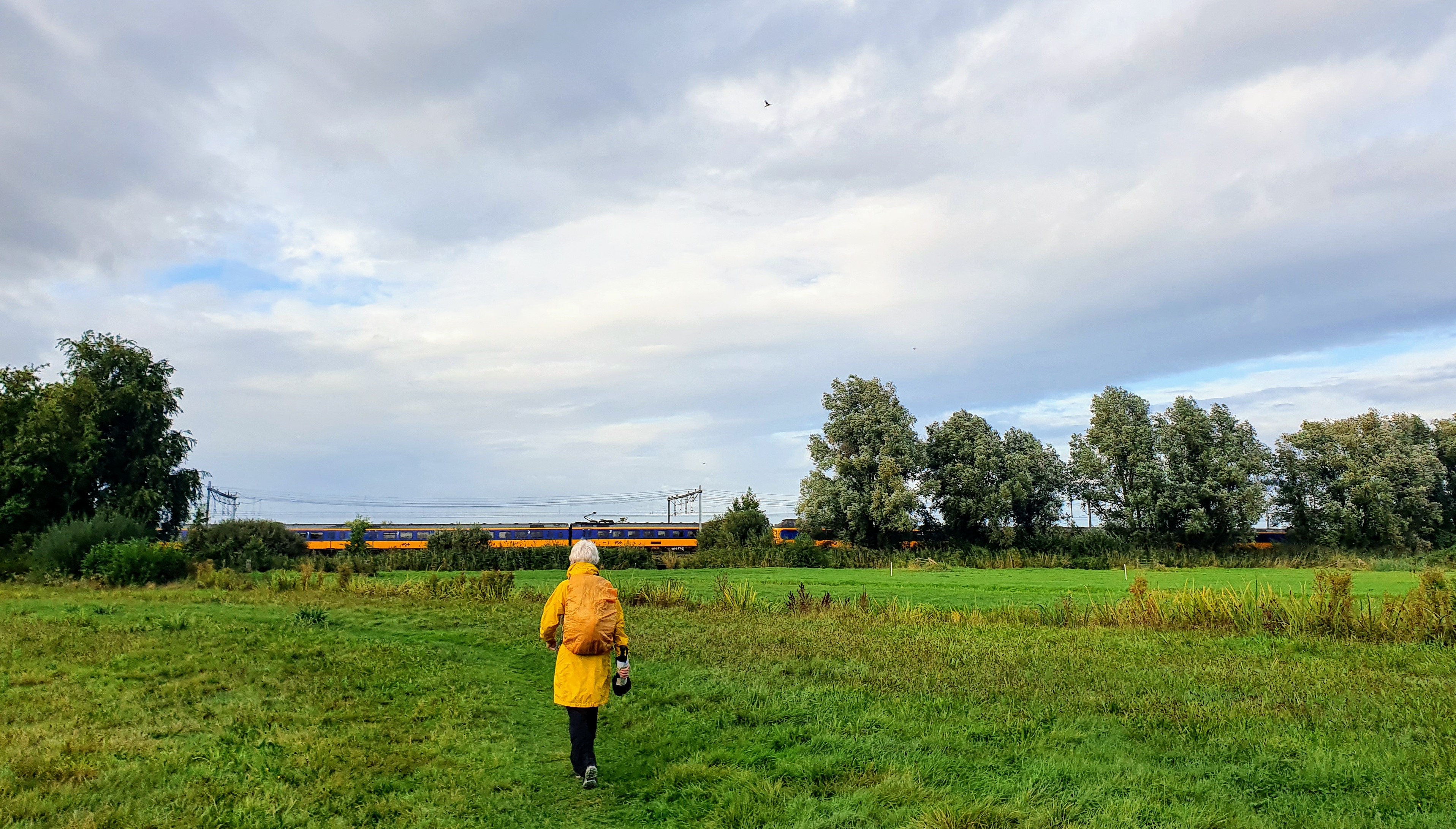 Stationswandelingen Top 12