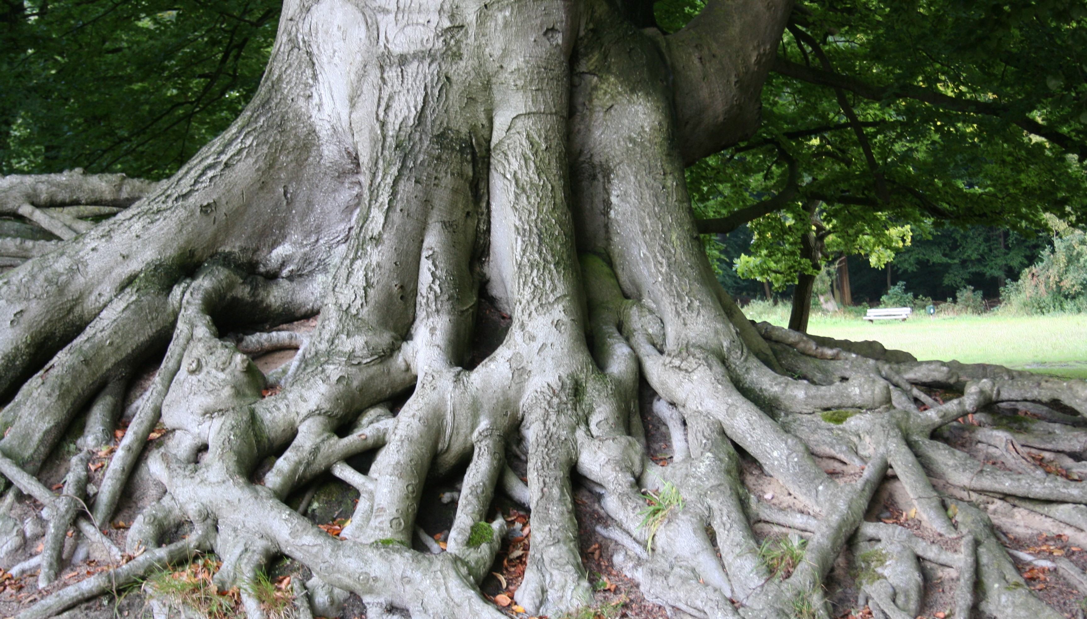 Wandeling van de maand