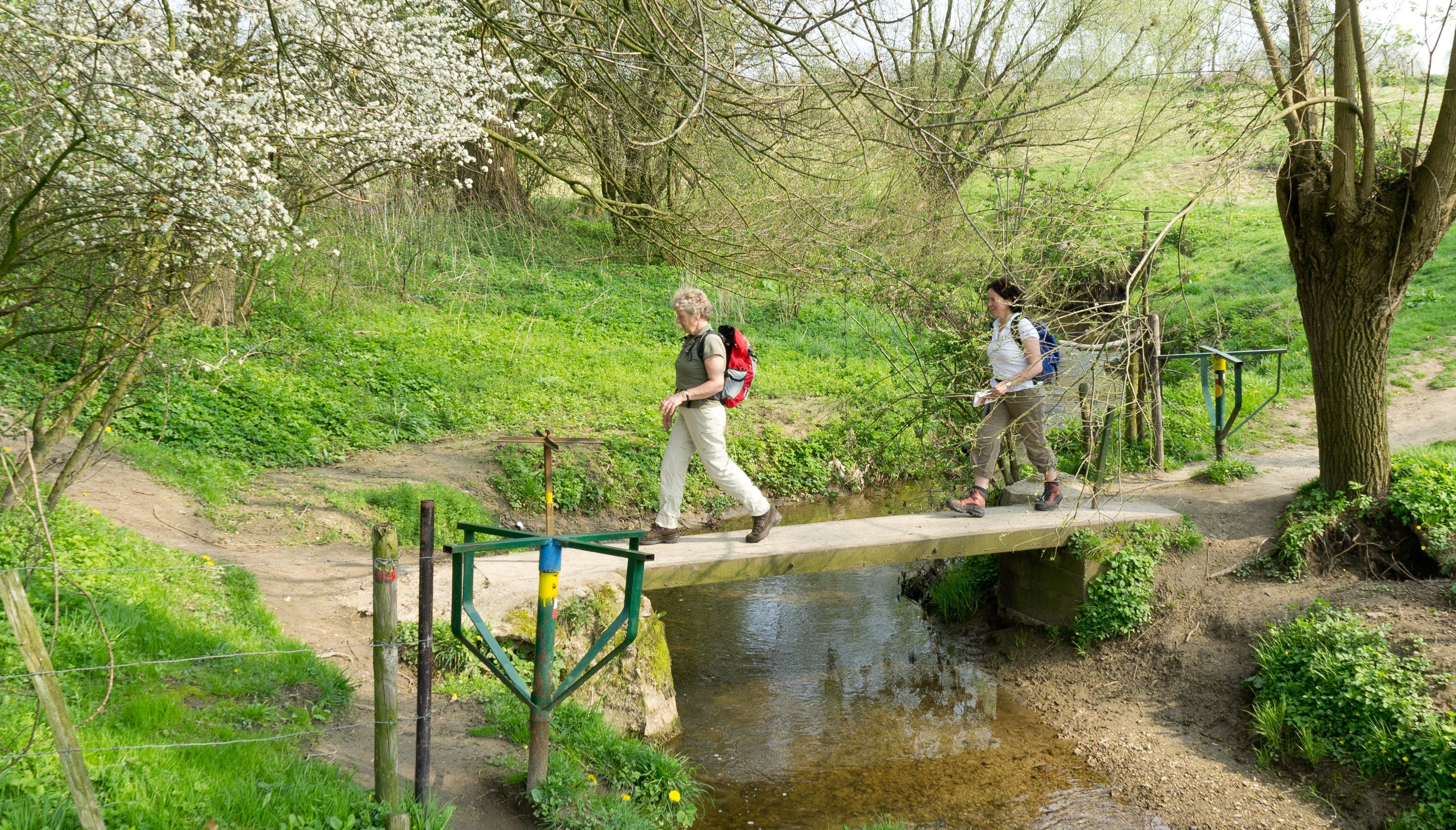 Bergen en beekjes in Limburg