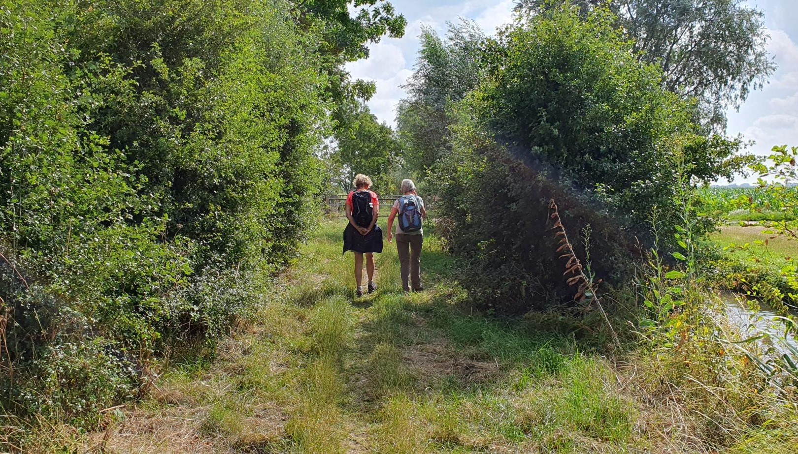 Wandelen in Het Groene Hart