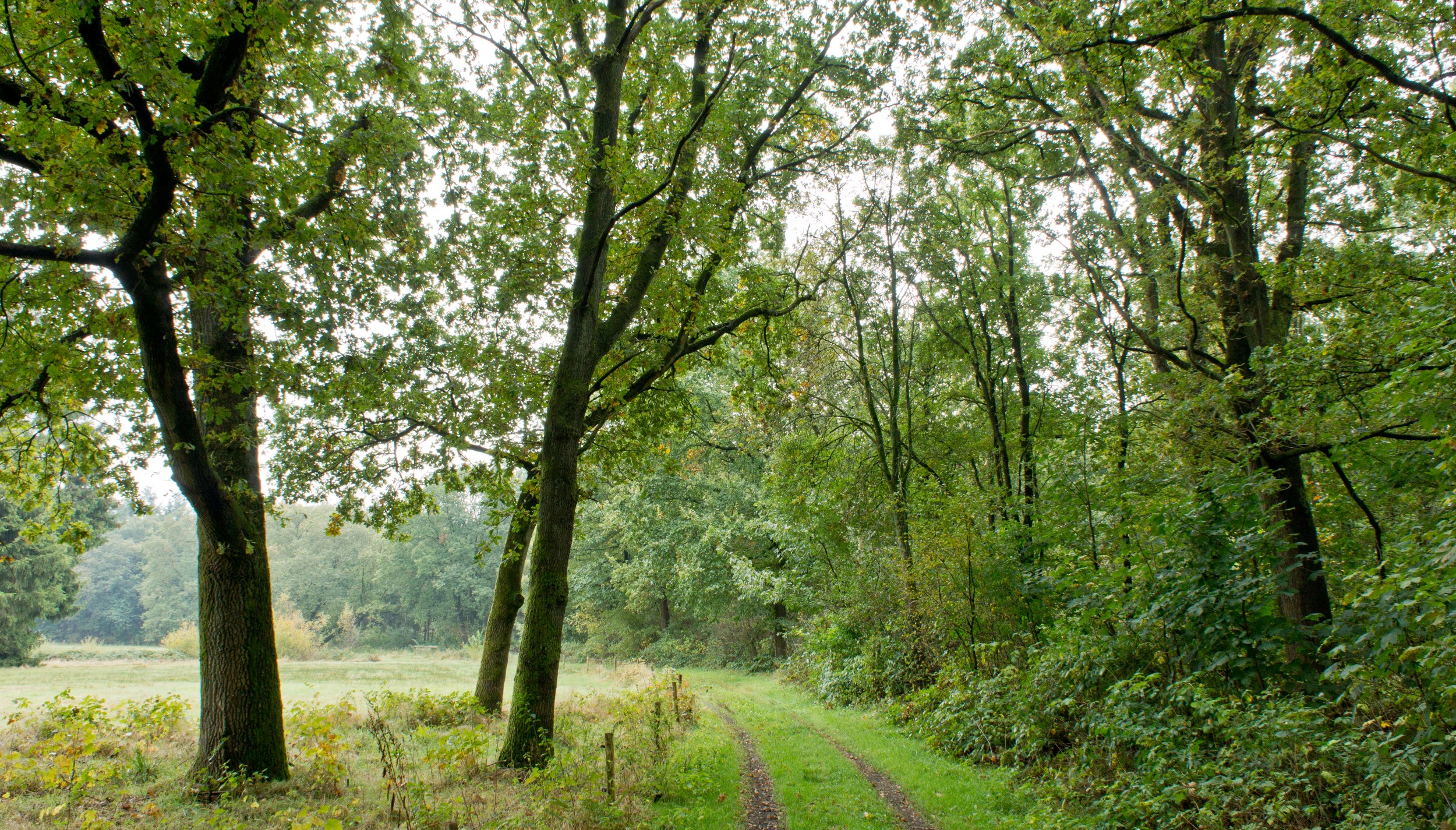 Wandeling van de maand