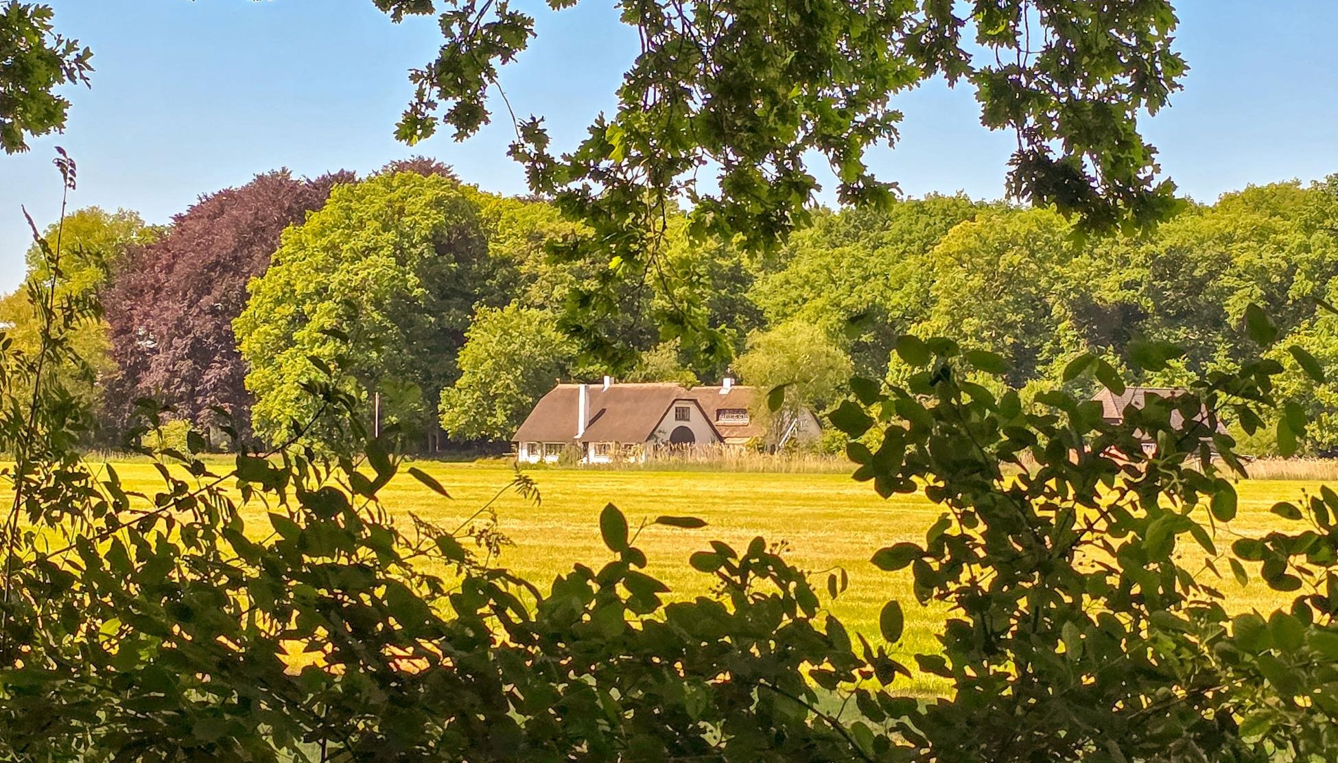 Wandeling van de maand