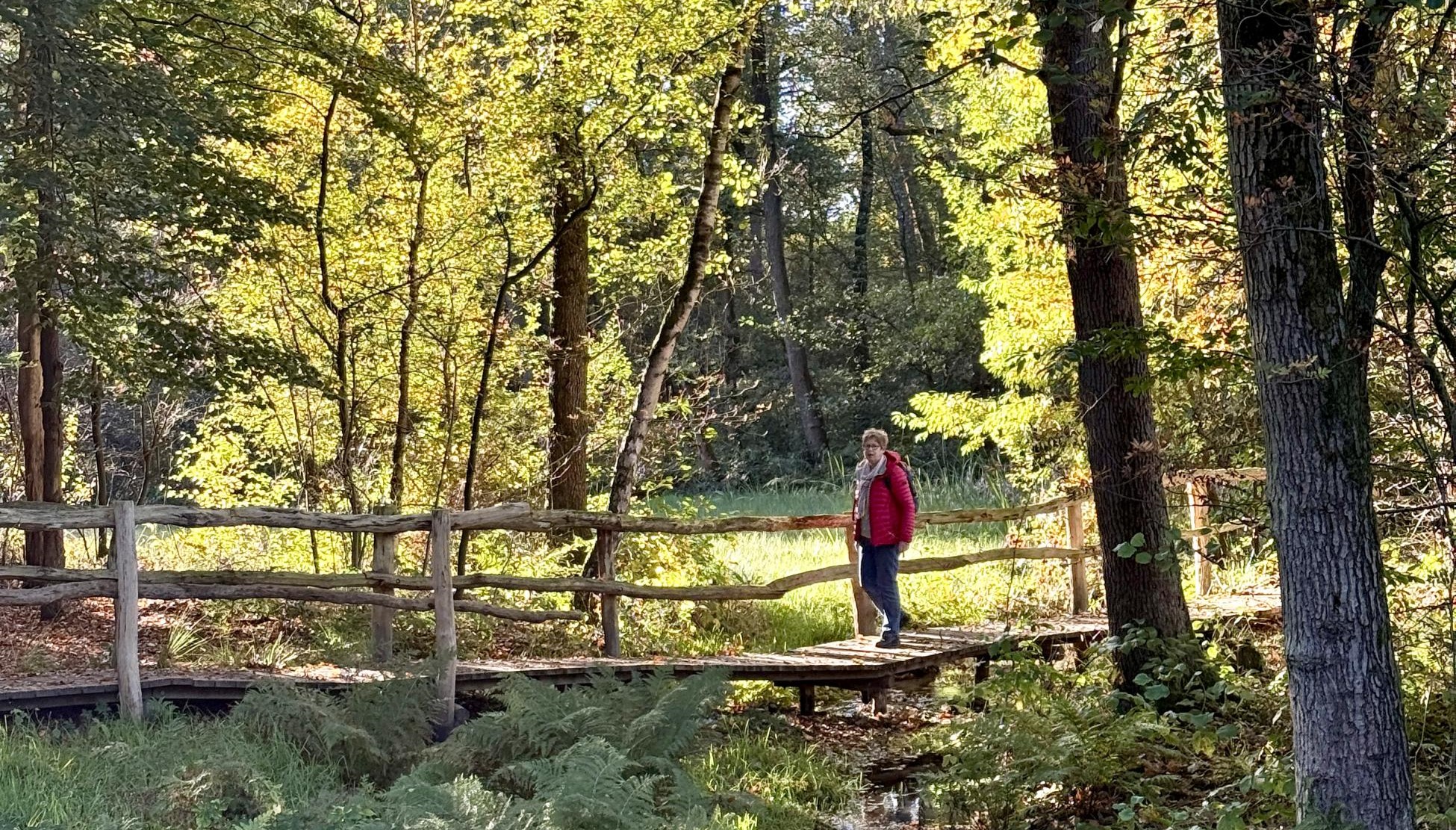 Wandelingen met schaduwpercentage