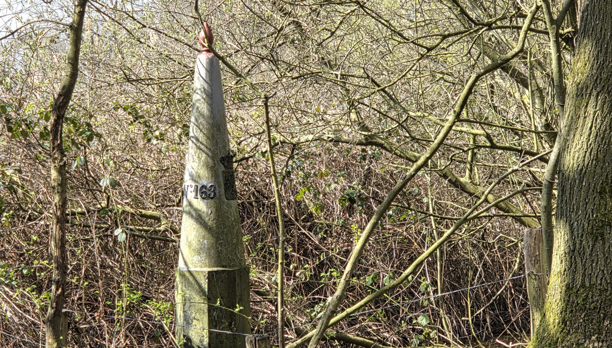 Trage Tochten op de grens