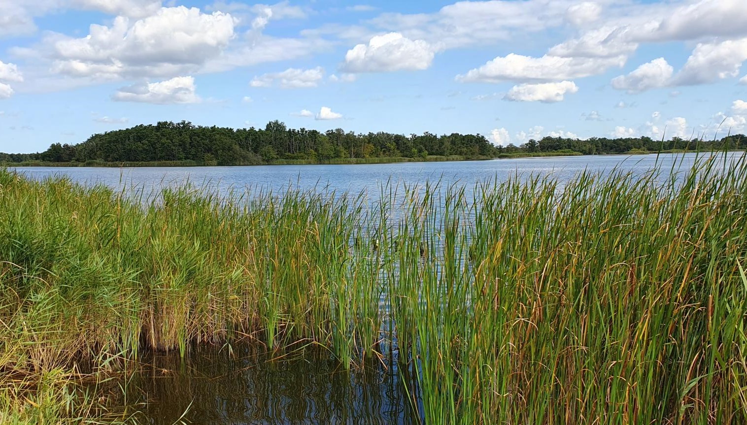 Verkoelende zomerwandelingen