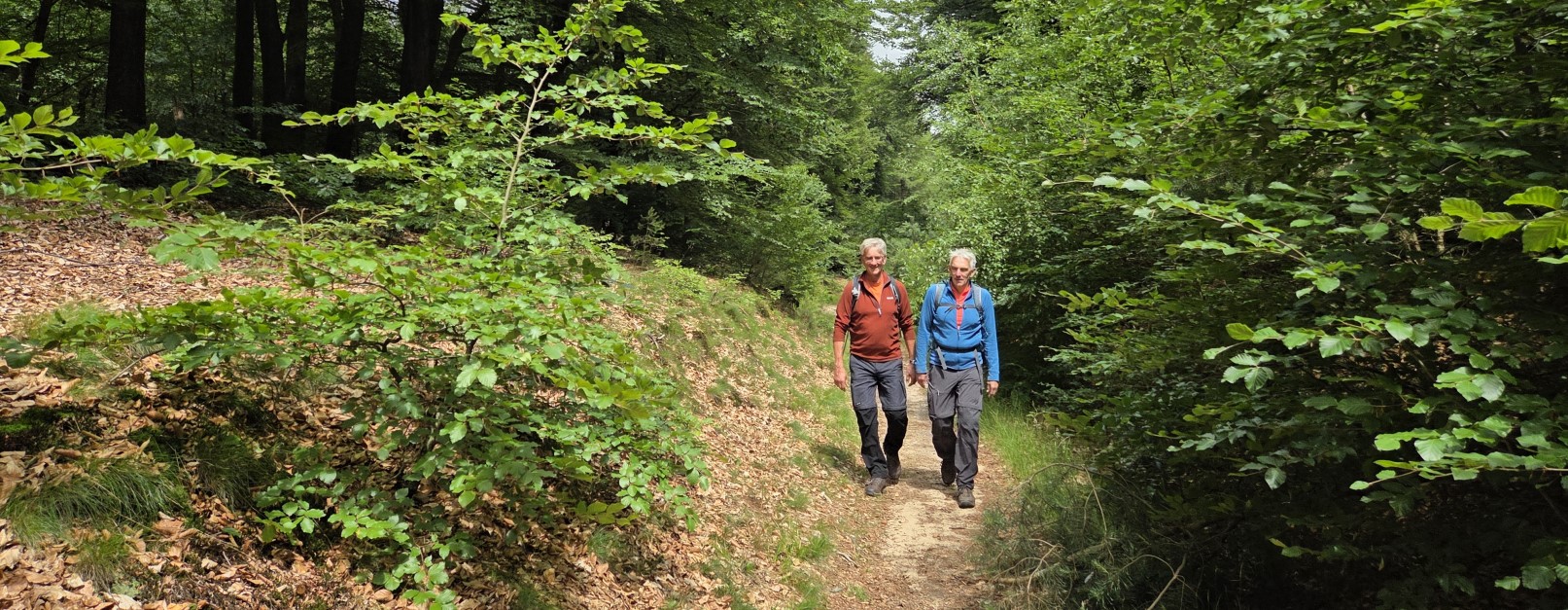 Wandeling van de maand