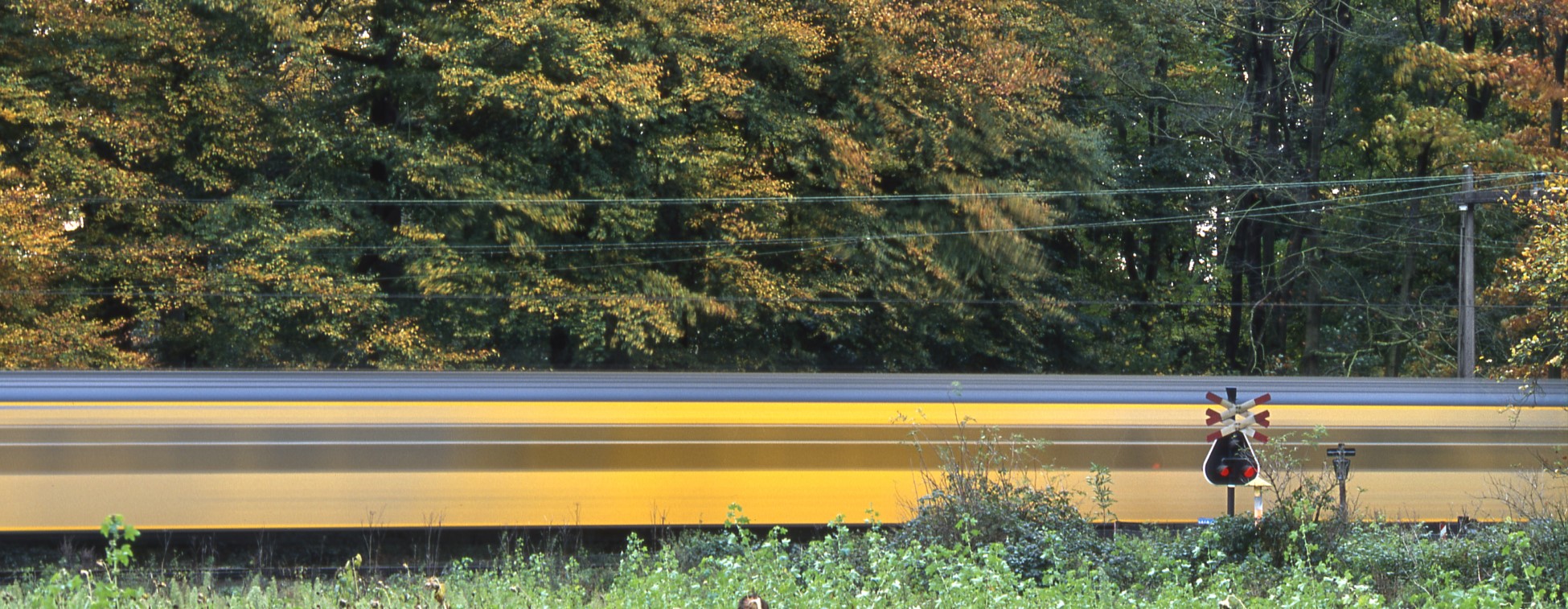 Herfstwandelen met NS