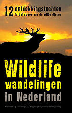 Wildlife wandelingen in Nederland