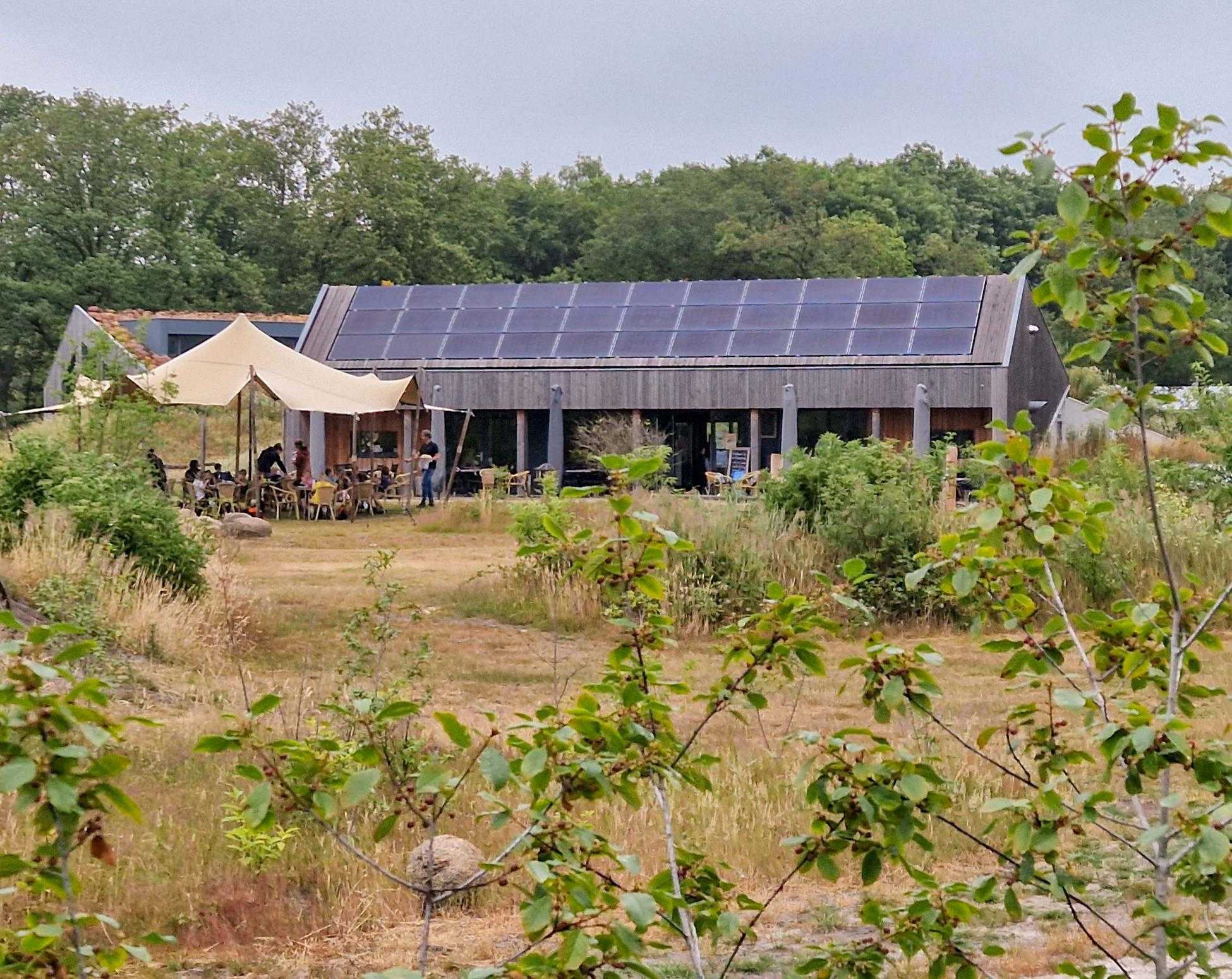 Natuurplaats Noordsche Veld