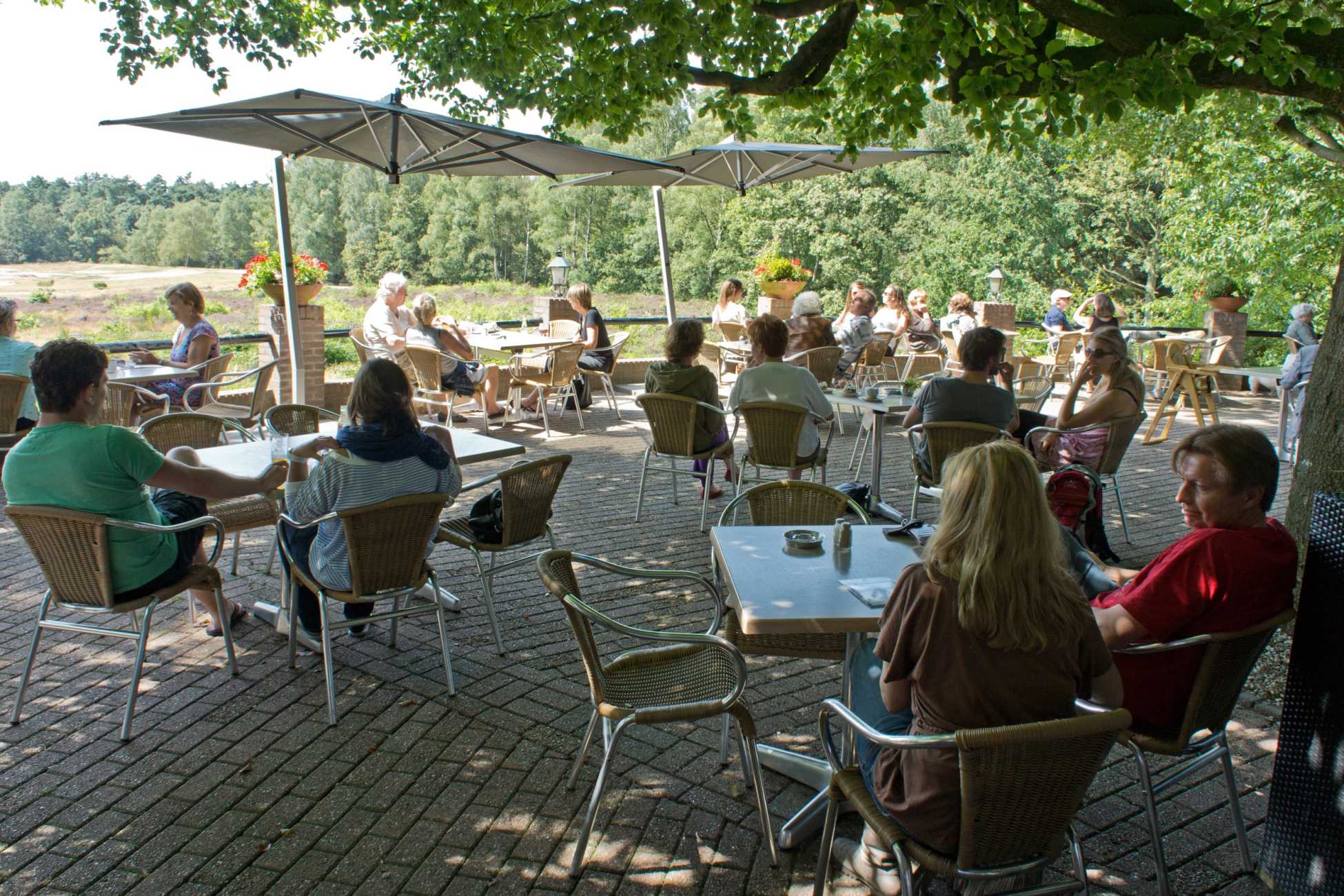 theehuis en restaurant Chalet Helenaheuvel