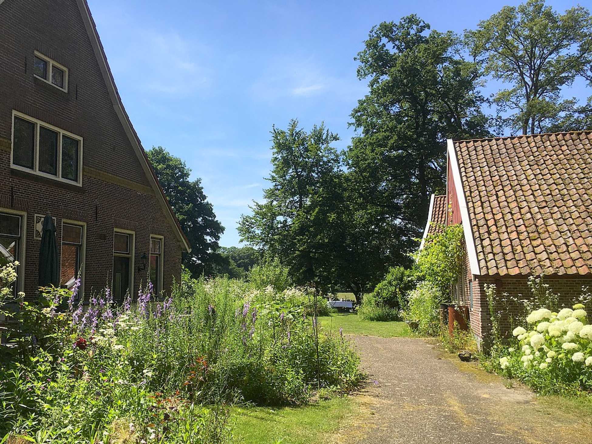 theetuin Op 