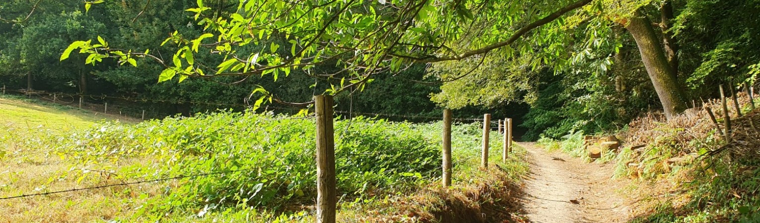 Knopenrondjes verspreid over Nederland
