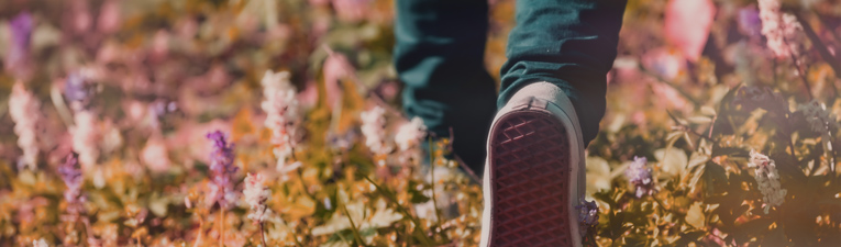 Deel je wandelplezier met anderen