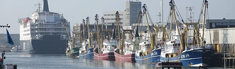 Havenwandelingen