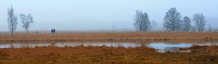 Drents Friese Wold
