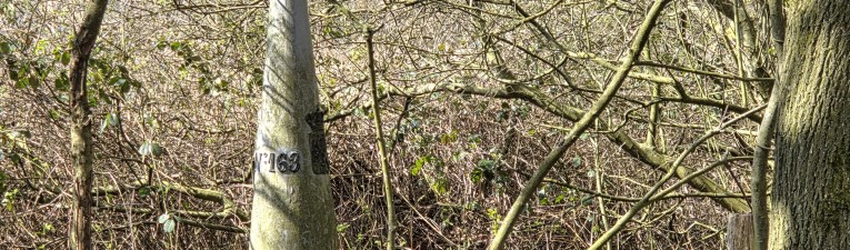 Avontuurlijke grenswandelingen
