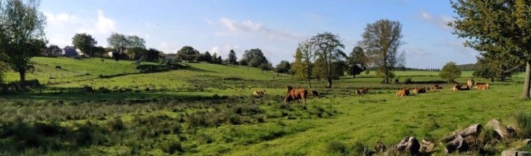 Nieuw: Zeven Knopenrondjes in Zuid-Limburg