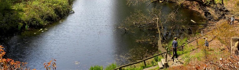 Wandelen in waterschappen