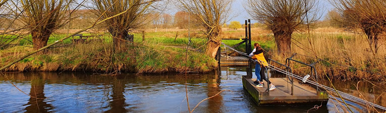 Veel voetveren varen weer