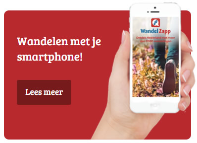 WandelZapp