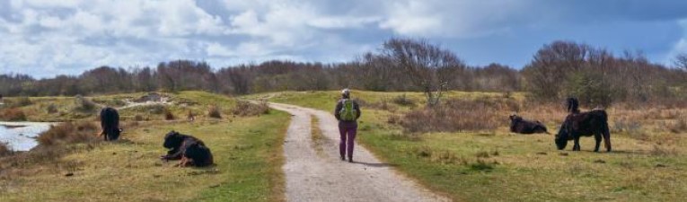 Detty is Weg van wandelen