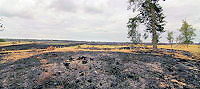  Brand Kalmthoutse Heide en GR5