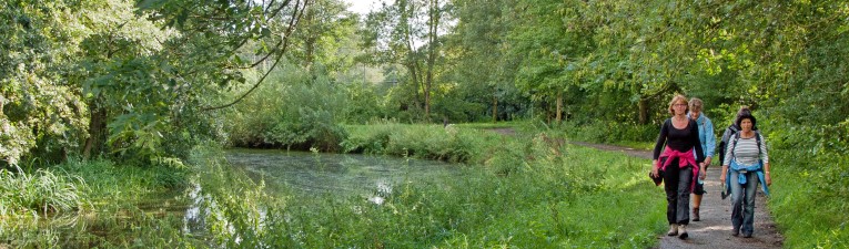 Groene Wissels Top 10