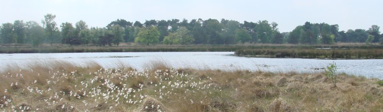 Wandelgebieden in Nederland