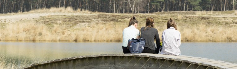 NS-wandelingen in WandelZapp
