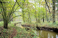 Wandelroutenetwerk Reusel - De Mierden 