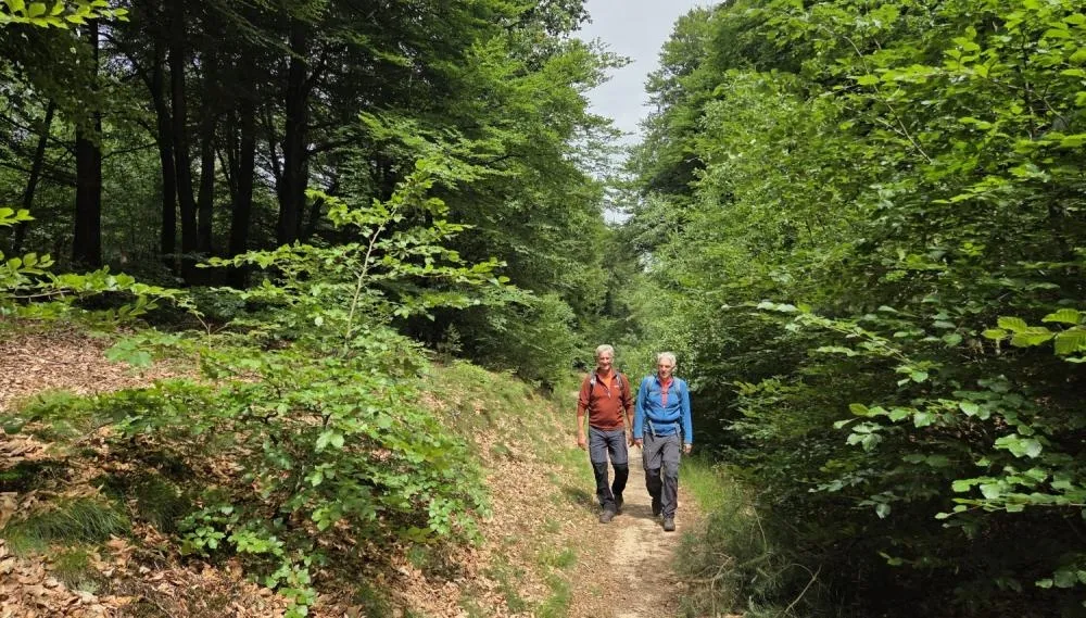 Wandeling van de maand