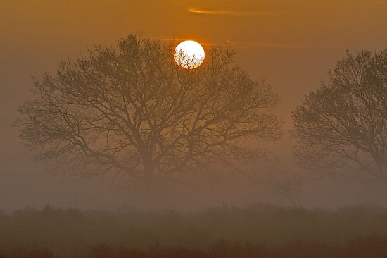 zonsondergang