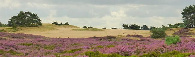 Wandelgebieden in Nederland