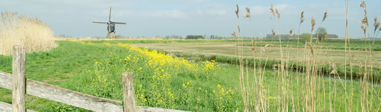 Wandelgebieden in Nederland