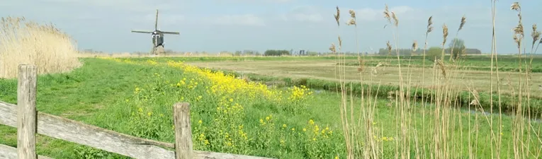 Alblasserwaard