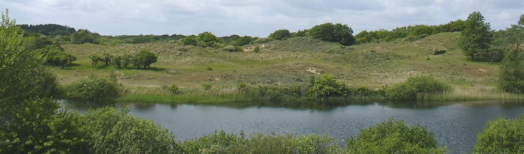 Wandelgebieden in Nederland