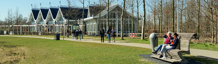 Wandelen in cijfers