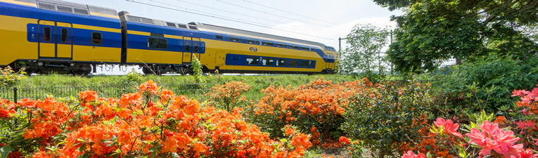 Stationswandelingen