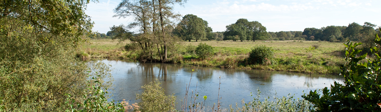 Wandelgebieden in Nederland