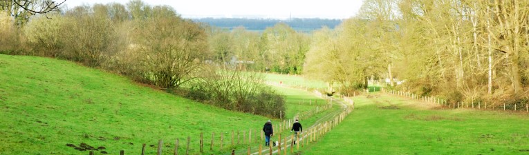 Wandelgebieden in Nederland